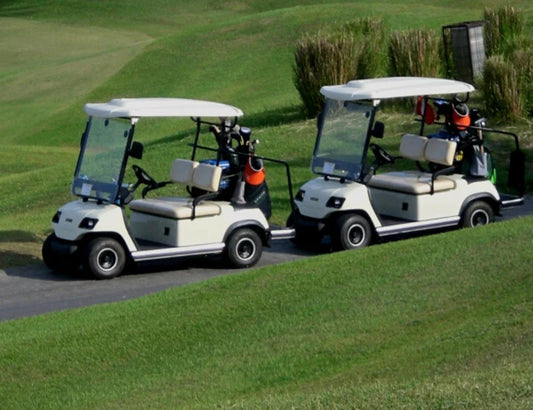 ECAR LT-A2D.SP – 2 Seat Golf Cart